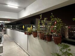 Blk 326 Sembawang Crescent (Sembawang), HDB 4 Rooms #577291871